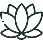 001 lotus flower